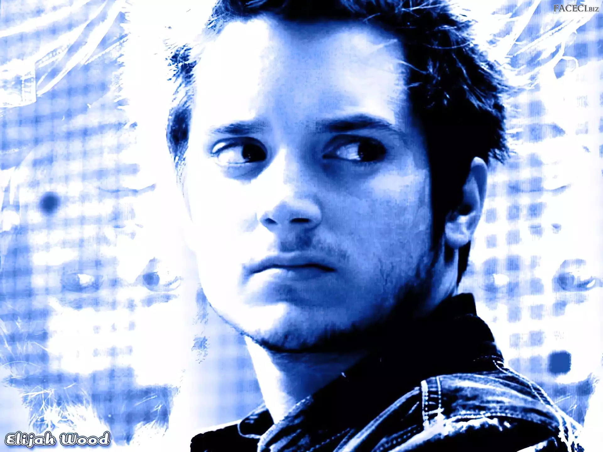 bródka, Elijah Wood, twarz